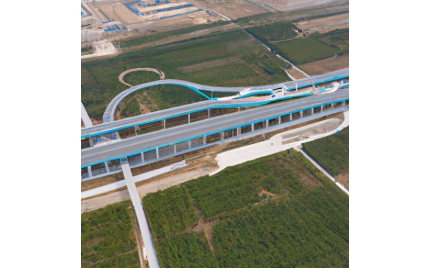 大邑网站建设哪家好