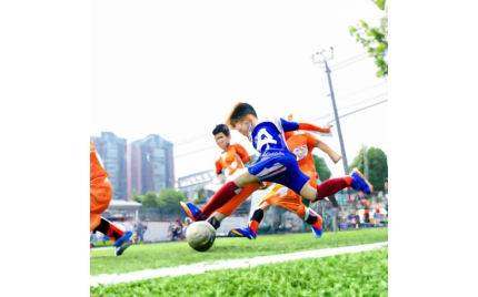 虎林网络推广哪个平台好