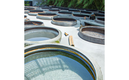 吉首品牌推广渠道