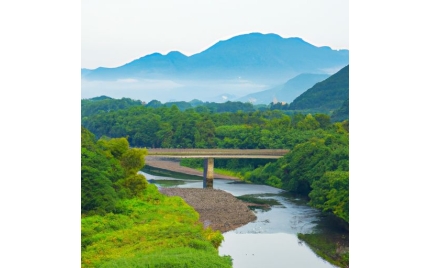 桐乡网络推广渠道