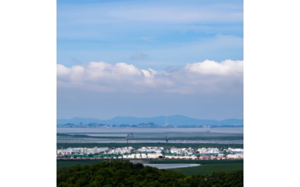 云浮网络推广哪个平台好