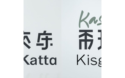 开原品牌推广流程