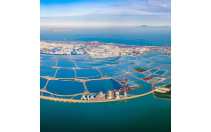 东山网络推广哪个平台好