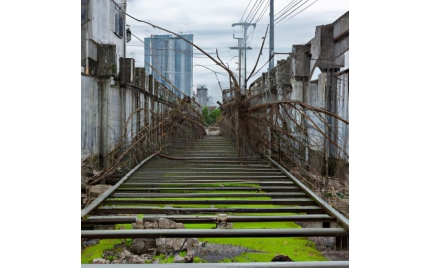 定陶网络推广渠道