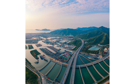 龙口网络推广哪个平台好