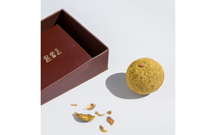 稻城品牌推广方案