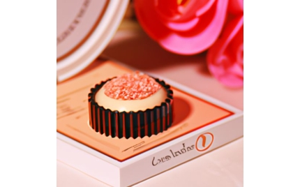 公主岭品牌推广方案