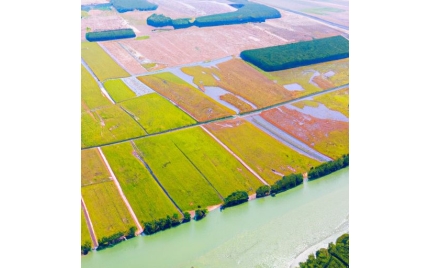 大丰网络推广渠道