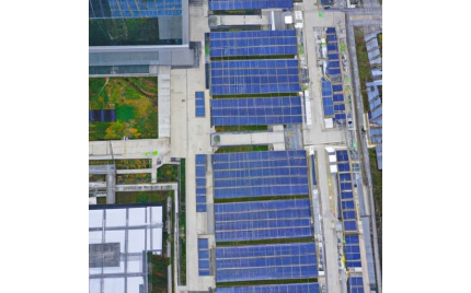 恩平网站建设哪家好