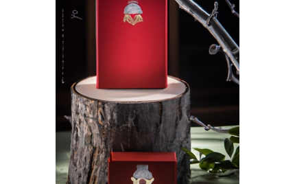 东风品牌推广流程