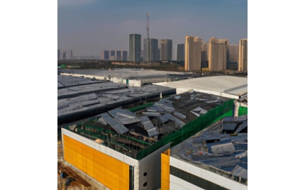 洮南网站建设多少钱