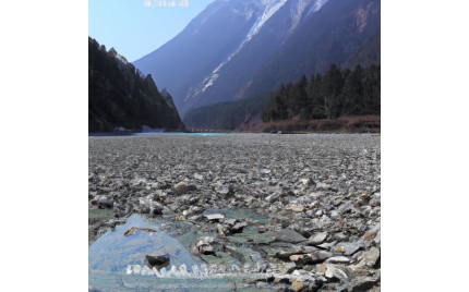 波密网络推广哪个平台好