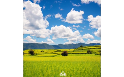 腾冲网络推广哪个平台好