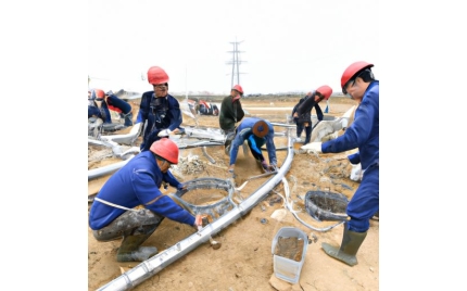 保康网站建设流程