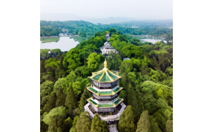 华亭网络推广哪个平台好