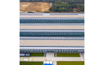 东营网络推广代运营