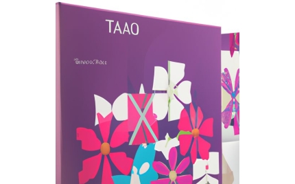 得荣品牌推广方案