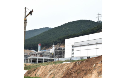 大洼网站建设流程