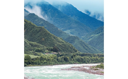 林芝品牌推广流程