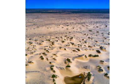 陈巴尔虎网络推广渠道