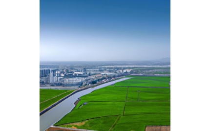 双鸭山网络推广渠道