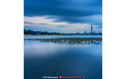 东湖网络推广哪个平台好