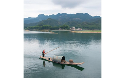 枝江网络推广哪个平台好
