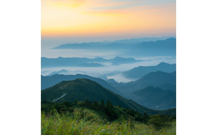 合山网络推广哪个平台好