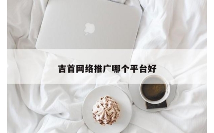 吉首网络推广哪个平台好