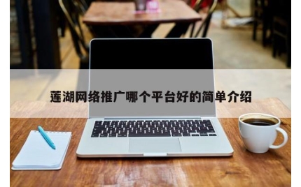 莲湖网络推广哪个平台好的简单介绍