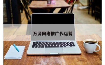 万源网络推广代运营