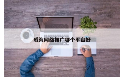 威海网络推广哪个平台好