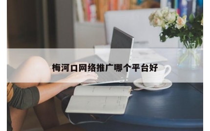 梅河口网络推广哪个平台好