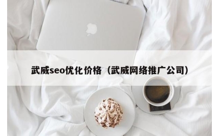武威seo优化价格（武威网络推广公司）