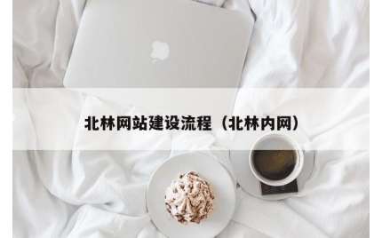 北林网站建设流程（北林内网）
