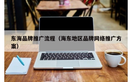 东海品牌推广流程（海东地区品牌网络推广方案）