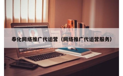 奉化网络推广代运营（网络推广代运营服务）