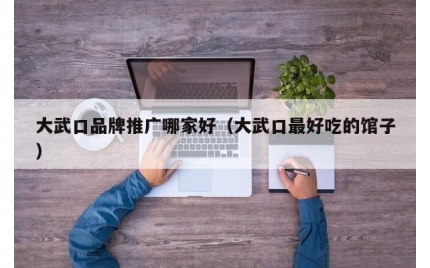 大武口品牌推广哪家好(大武口最好吃的馆子)