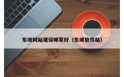 东坡网站建设哪家好（东坡软件站）