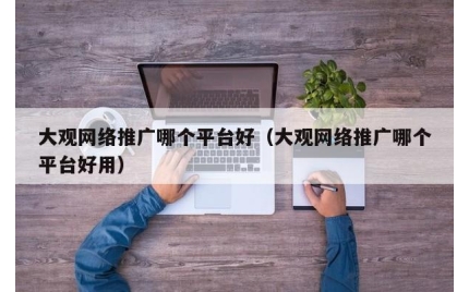 大观网络推广哪个平台好（大观网络推广哪个平台好用）