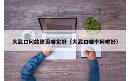 大武口网站建设哪家好(大武口哪个网吧好)