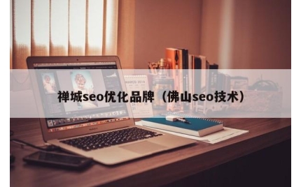 禅城seo优化品牌（佛山seo技术）