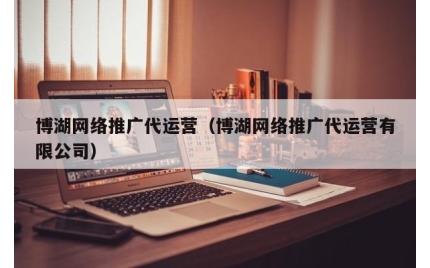 博湖网络推广代运营（博湖网络推广代运营有限公司）