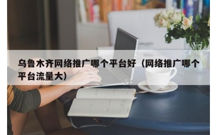 乌鲁木齐网络推广哪个平台好（网络推广哪个平台流量大）