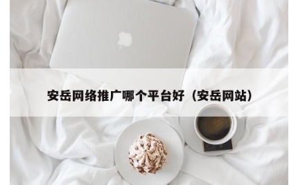 安岳网络推广哪个平台好（安岳网站）