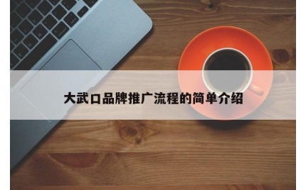 大武口品牌推广流程的简单介绍
