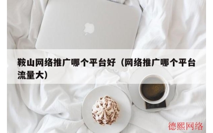 鞍山网络推广哪个平台好（网络推广哪个平台流量大）