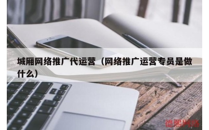 城厢网络推广代运营（网络推广运营专员是做什么）