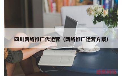 四川网络推广代运营（网络推广运营方案）