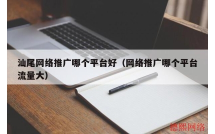 汕尾网络推广哪个平台好（网络推广哪个平台流量大）